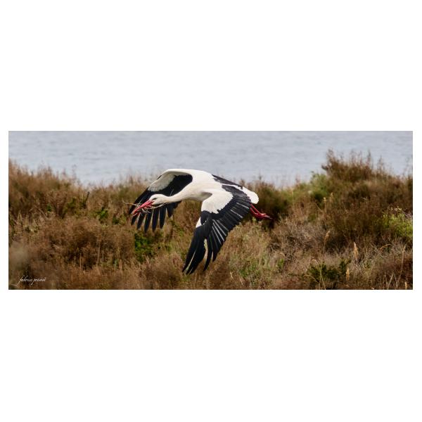 PHOTO84, CLUB, 84 , LUBERON